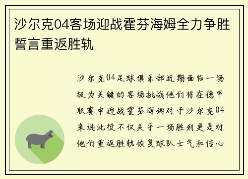 沙尔克04客场迎战霍芬海姆全力争胜誓言重返胜轨